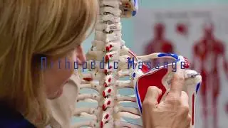 SFH TARGET MUSCLE RELEASE Certification | How to Train with Seminars for Health (SFH)