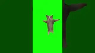 Happy Happy Cat meme greenscreen 🐈