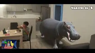 Virtual Animals At My Home part 3