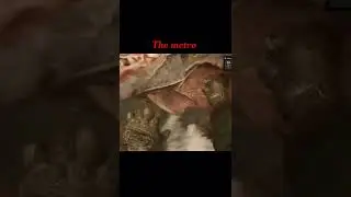 Is Metro Exodus horror Metro Exodus requirements Metro Exodus Gameplay 