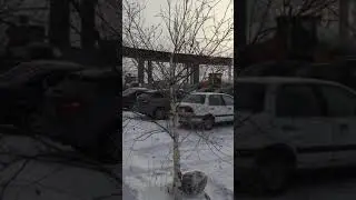 29 января 2021 г.