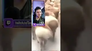 Ser NORTEÑO es DIFICIL - 