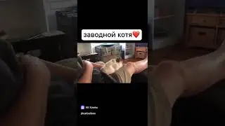 прикольный