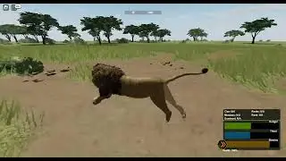 catching a leopard and getting stuck in a tree!