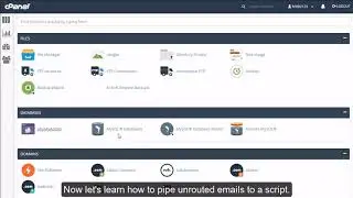 cPanel Email - Pipe unrouted emails to a script