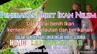 LEPASKAN 30rb IKAN NILAM DI EMBUNG DAN SUNGAI WUJUD CINTA DENGAN LINGKUNGAN HIDUP
