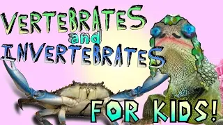 Learning About Vertebrates and Invertebrates