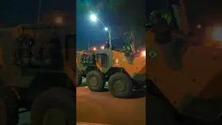 ELE TAMBÉM  É  ANFÍBIO