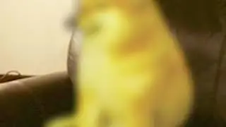Cheemsburger (Original Meme)