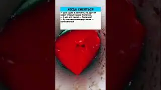 Сколько у Вас в части служебных Волг 
