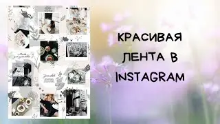 Красивый инстаграм,  оформление ленты в едином стиле, бесконечная лента