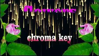 chroma key  flowers