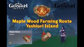 Maple Wood Farming Route - Yashiori Island (Genshin Impact)