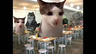 как проходит мой день