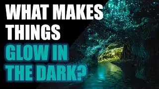 What Makes Things Glow In The Dark?