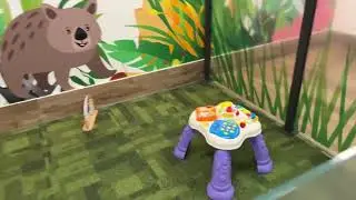 WHAT ARE THE PARENTS' ROOMS LIKE AT CURRUMBIN WILDLIFE SANCTUARY//BABY CARE ROOMS AT CURRUMBIN//