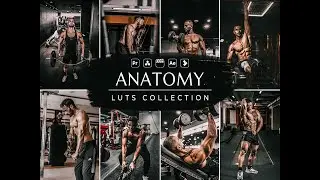 Anatomy Video LUTs- Anatomy LUT- VN LUT- Video Preset- Influencer LUT- LUT for Premiere Pro