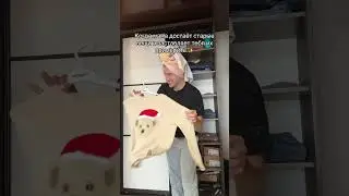 Когда мама заставляет МЕРИТЬ старую ОДЕЖДУ 😱
