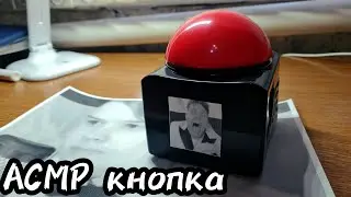 АСМР КНОПКА🚨