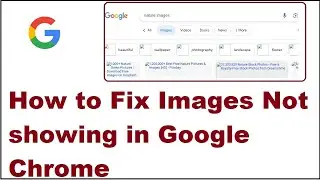 How to Fix Images Not showing in Google Chrome