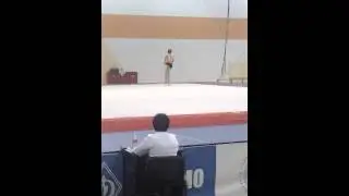 Скрыпник Даша(вольные)
