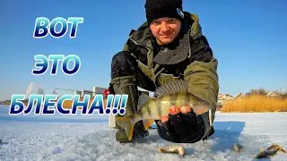 Winter spoon KT36. How the perch rushed at the spoon. Perch fishing from ice.