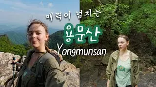 용이 머문다는 용문산 이런 산일 줄 몰랐어요💚🐉 오르기 힘들어도 자연의 매력에 푹 빠질 거예요✨ 양평군 용문산 등산여행, 유기농카페 탐방 가요!
