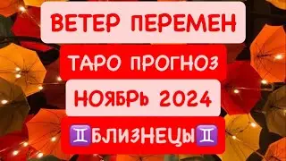 ♊️БЛИЗНЕЦЫ♊️ ВЕТЕР ПЕРЕМЕН .НОЯБРЬ 2024. ТАРО ПРОГНОЗ