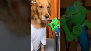 regarde ce que ce chien fait avec une sucette 🍭 