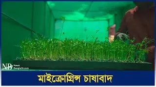 খাদ্য সমস্যা সমাধানে সুস্বাদু সুপার ফুড | Super Foods | Microgreens