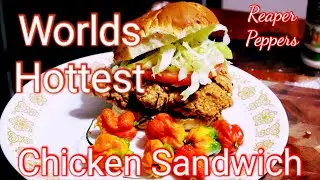 Dare to Try Hottest Chicken Sandwich? Reaper Pepper Breading Unleashed! #cooking #guga #trending