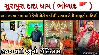 દાદા નું સાનિધ્ય ભોળાદ ભાલ Part 2| સુરાપુરાધામ ભોળાદ 🚩 ॥ surapura dada bholad  | Danbha bapu  #mogal