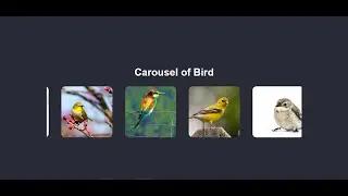 Create a Responsive Image Slider with Pure CSS | HTML & CSS