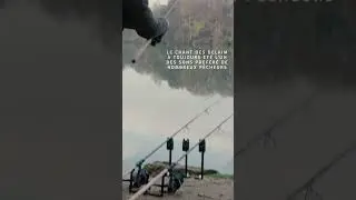 CARP FISHING: RUN !!!!