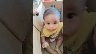 Bayi kardus