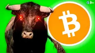 The Bull Market Never Stopped