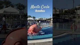 Бассейны в Monte Carlo #египет #шарм #отель #отдых #море #бассейн