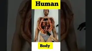 human body | anatomy of human #shorts #dayinthelife #doctorsvlog #viral #vlog #medical #trending