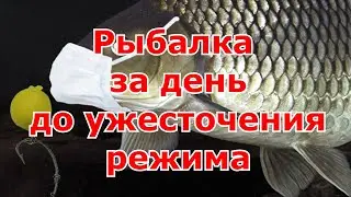 Рыбалка за день до ужесточения режима