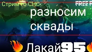 🔴STREAM FREE FIRE🔥🔔