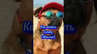 Как назвать собаку (мальчик)