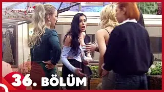 Kısmetse Olur: Aşkın Gücü 36. Bölüm