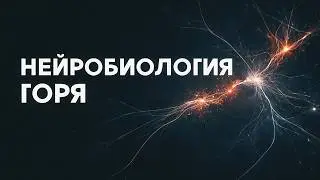 Как мы переживаем смерть близких