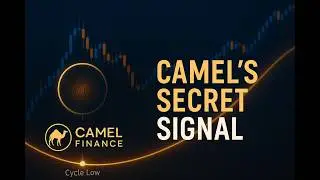 Camel Finance’s Secret Signal 🔍How to Spot a Bitcoin Cycle Low