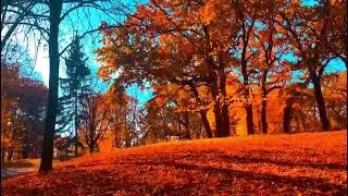 Конкурс декламации