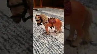 Jotain ihme 📹 videoo