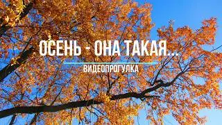 Осень - она такая...