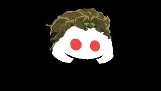 Muda & Ora Discord Bot Command