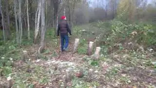 Промачетили часть участка.