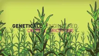 Genetic engineering: The world's greatest scam?